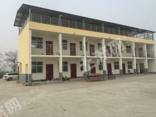 洛阳孟津县 73亩 果园 经营权转让
