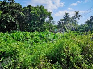 海南  澄邁縣 3333平米 宅基地 使用權(quán)出租