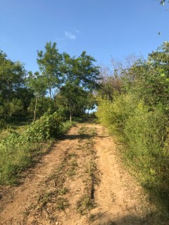 河北省国土资源厅再造土地转用征收报批流程