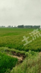 安徽乡村振兴规划:2020年实现现行标准下农村