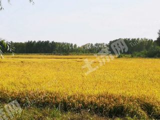 黑龙江省人民政府关于支持民营经济发展的若干