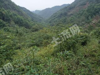 四川省委农工委相关负责人解读《关于推进农村