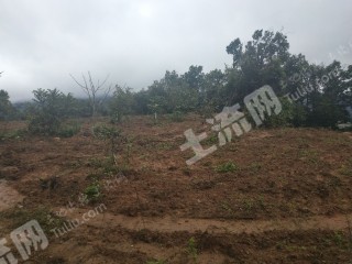 玉溪新平彝族傣族自治县 100亩 水浇地 经营权出租