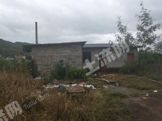 玉溪新平彝族傣族自治县40亩果园经营权转让