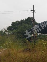 广东地形与气候可以种植榴莲、樱桃、核桃、蓝