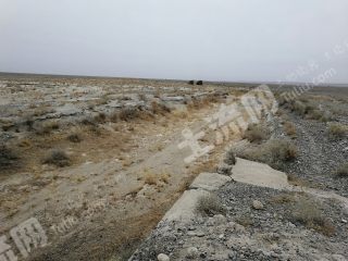 阿克苏乌什县 1700亩 空闲用地 出租