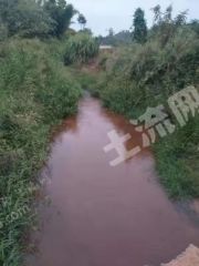 广东韶关40亩鱼塘果园经营权出租