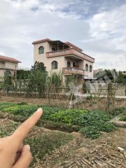 羊城是我国华南地区哪个城市的别称?是广州吗