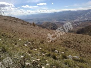 大同广灵县 7000亩 荒山 使用权出租