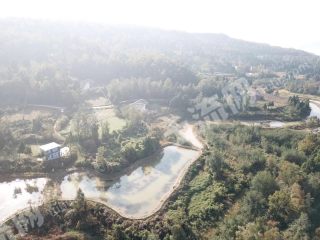 广元昭化区 30亩 水产养殖用地 经营权转让