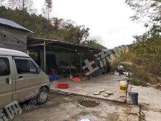 衢州龙游县 20亩 水田 经营权转包