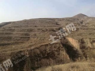 大同  灵丘县 1300亩 旱地 经营权出租