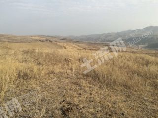 大同  灵丘县 1300亩 旱地 经营权出租