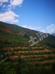 玉溪新平彝族傣族自治县 1700亩 水浇地 经营权出租