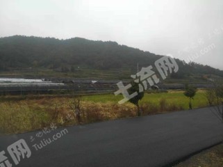 金华磐安县 50亩 水浇地 经营权转让