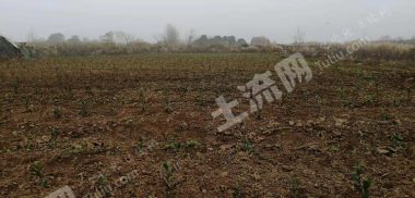 采石镇40亩地含水面15亩经营权转让（距离高速1km）