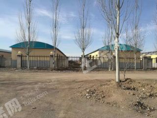 大同大同县 90亩 菜园 经营权转让