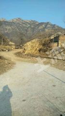 大同灵丘县500亩荒山转让