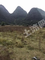 柳州融安县 400亩 水浇地 经营权出租