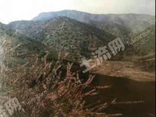 包头石拐区 15000亩 荒山 出租