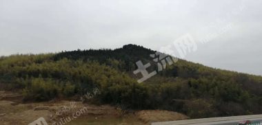 马鞍山花山区濮塘风景区120亩有林地经营权转让
