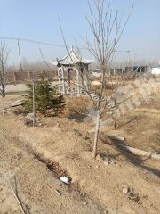 延津县新修107国道16亩大院使用权转让或出租XX1130