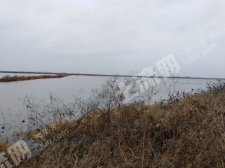 安庆宿松县 2000亩 水田 经营权出租