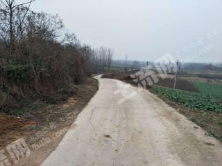 襄阳市宜城市 800亩 乔木林地 经营权转让