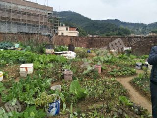 韶关  浈江区 360平米 宅基地 使用权出租