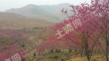 韶关新丰县 500000平米 商业用地 使用权转让