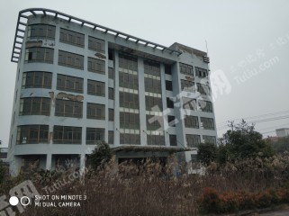 生吃大蒜的好处和坏处有哪些?