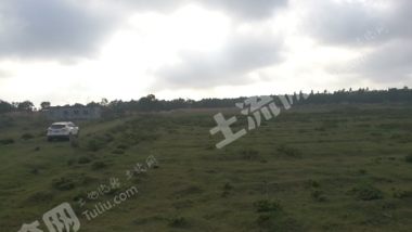 文昌冯坡镇61亩村集体地经营权转让