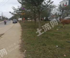 文昌馮坡鎮(zhèn) 989平米 宅基地 使用權(quán)出租