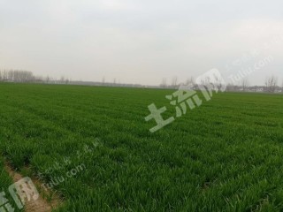 怎么才能快速找到土地 center_mid