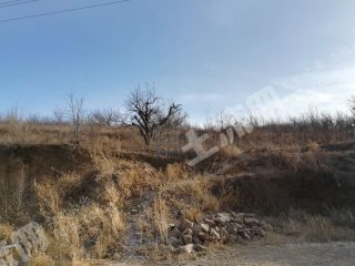 朝阳建平县20亩荒山出租