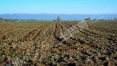 郑州惠济区 15亩 荒地使用权出租