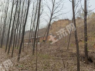 郑州荥阳市 70亩 其它林地 经营权转让