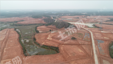 江西抚州1300亩已开垦林地经营权转让