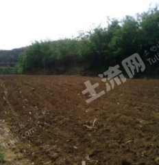 潍坊临朐县450亩果园经营权转让