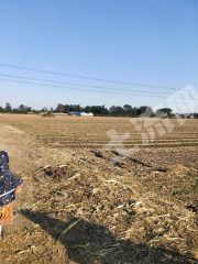 潍坊  昌邑市 北孟镇2500亩 水浇地 经营权出租