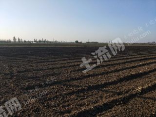 潍坊昌邑市都昌1000亩水浇地经营权出租