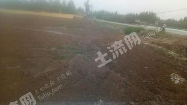 潍坊安丘市 15亩 旱地 经营权转让
