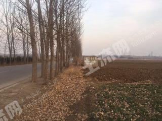 潍坊安丘市26亩水浇地经营权出租