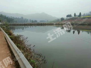 遂宁船山区 200亩 鱼塘经营权合作