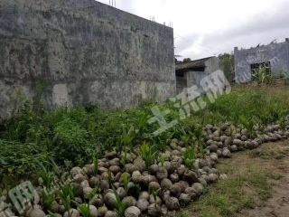 文昌文城鎮(zhèn) 300平米 宅基地 使用權(quán)出租