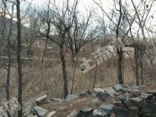 朝阳龙城区3996平米农家庭院出租
