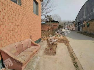 新乡平原示范区桥头处空置宅基地流转XX1194