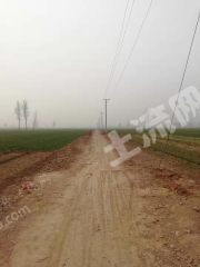 安阳安阳县 1000亩 水浇地 经营权出租