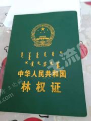 呼和浩特  托克托县 50亩 有林地 经营权转让