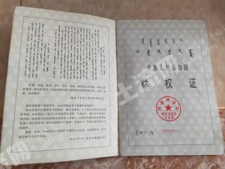 呼和浩特  托克托县 10000亩 有林地 经营权转让